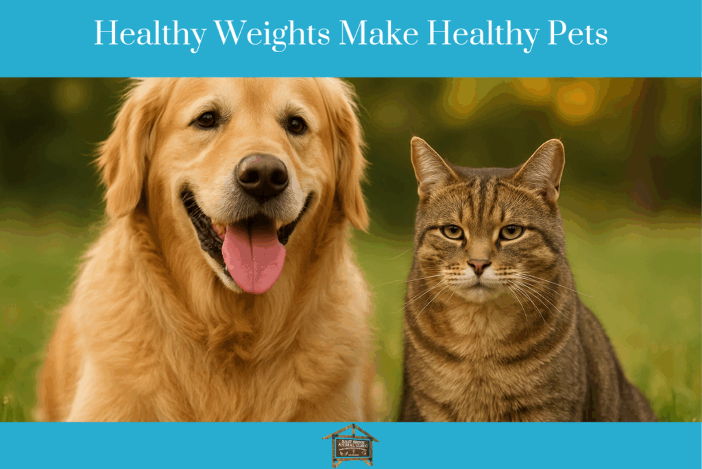 Healthy Weights Make Healthy Pets