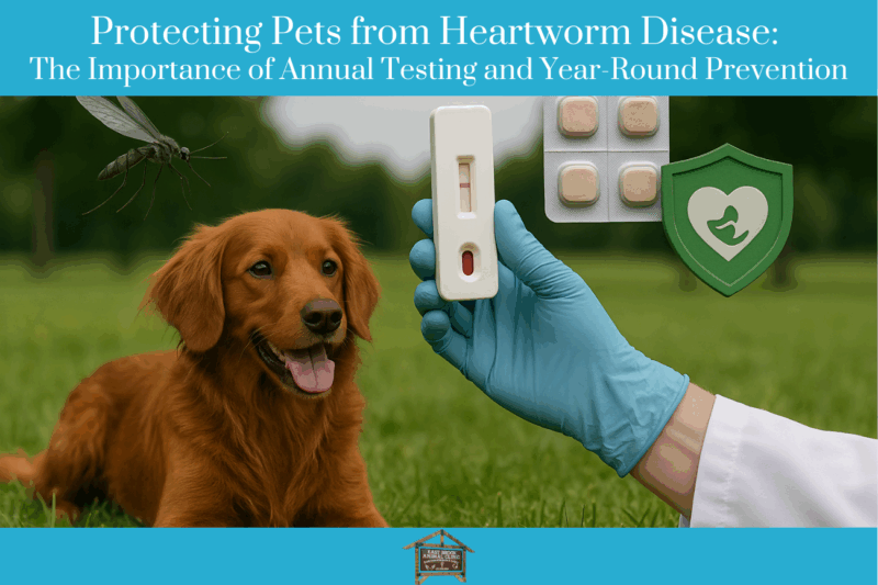 Protecting Pets from Heartworm Disease The Importance of Annual Testing and Year-Round Prevention