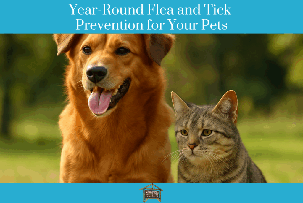 Year-Round Flea and Tick Prevention for Your Pets